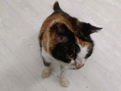 Tia5