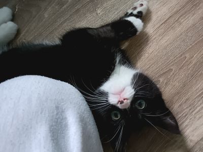 Whoppie (2)